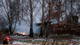 Alemanha sugere possibilidade de interfer&ecirc;ncia em acidente fatal com avi&atilde;o na Litu&acirc;nia