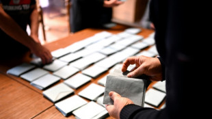 L&eacute;gislatives: les candidatures closes vendredi soir