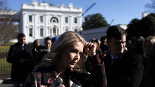 Usa, 'truppe europee in Groenlandia non incideranno su decisione Trump'