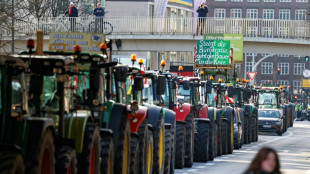CDU kn&uuml;pft Zustimmung zu Wachstumschancengesetz weiter an Bauern-Entlastungen