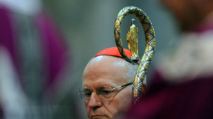 Peter Edo, o cardeal h&uacute;ngaro com imagem marcada por seus v&iacute;nculos com Orban