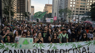 Milhares marcham em S&atilde;o Paulo pela legaliza&ccedil;&atilde;o da maconha