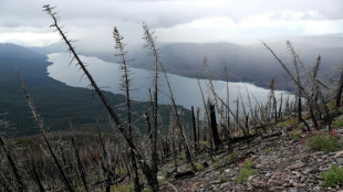 Historischer Prozess in USA: Junge Menschen verklagen Montana wegen Klimasch&auml;den