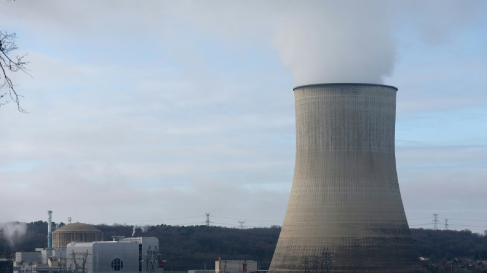 Nucl&eacute;aire: la nouvelle autorit&eacute; de s&ucirc;ret&eacute; d&eacute;marre mais beaucoup reste &agrave; faire