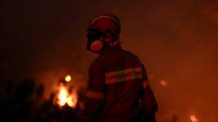 Vasti incendi a ovest Creta, turisti e residenti evacuati