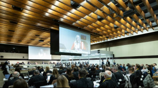 Attentats de Bruxelles: les d&eacute;bats s'ouvrent avec un premier coup d'&eacute;clat d'Abrini