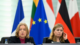 Deutsch-Franz&ouml;sische Parlamentarische Versammlung&nbsp;debattiert &uuml;ber Sicherheitspolitik