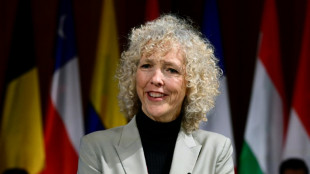 Deutsche Klima-Beauftragte setzt auf gr&uuml;ne Transformation in USA auch unter Trump