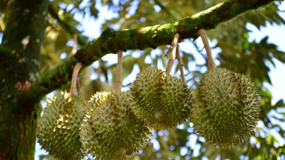 Feuerwehr r&uuml;ckt in Wiesbaden viermal zu Gasalarm aus: Stinkfr&uuml;chte waren Ursache