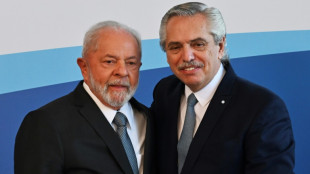 Argentina e Brasil confrontam exig&ecirc;ncias ambientais da UE em c&uacute;pula do Mercosul