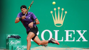Masters 1000 de Monte-Carlo: Wawrinka et Tsonga invit&eacute;s