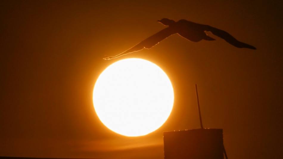 Balkonkraftwerke: Nur ein Modell &uuml;berzeugt die Stiftung Warentest