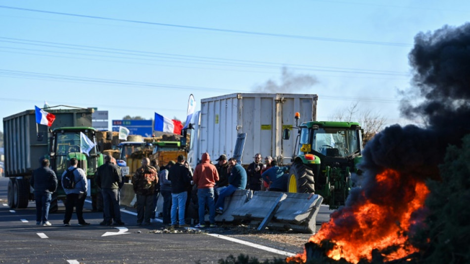"Ici on reste". Dans le Gard, les agriculteurs ne d&eacute;sarment pas 