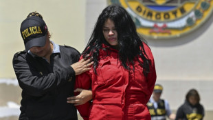 La polic&iacute;a peruana captura a 32 presuntos miembros del Tren de Aragua