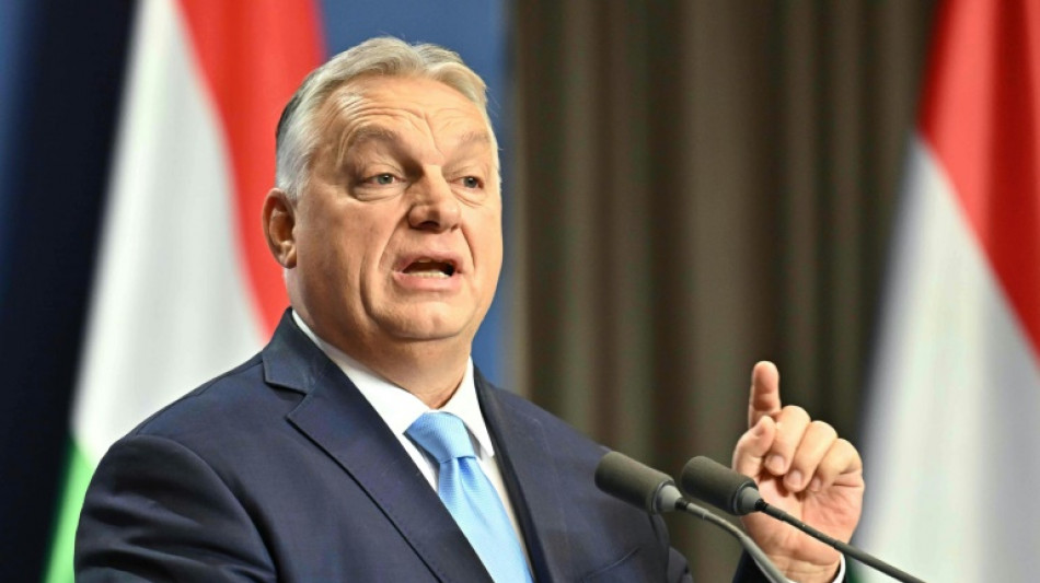 Alentado por las medidas de Trump, Orban quiere "borrar del mapa" a las ONG de Hungr&iacute;a