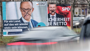 Sondaggio Bild d&agrave; Cdu-Csu al 30%, AfD stabile al 20%