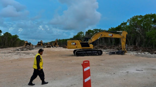 Entre protestas y duendes, aceleran trabajos para arrancar Tren Maya en M&eacute;xico