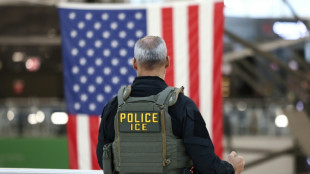 Trump-Regierung setzt ICE-Mitarbeiter an Flugh&auml;fen ein