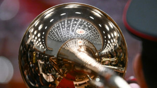 En Ukraine, un musicien joue l'hymne national chaque matin jusqu'&agrave; la "victoire"