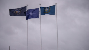 Bundestag verl&auml;ngert Bundeswehr-Einsatz im Kosovo