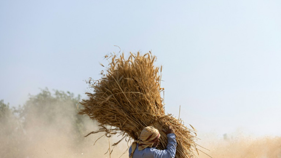 Climat: l'Egypte, en charge de la COP27, appelle &agrave; se confronter &agrave; la r&eacute;alit&eacute;
