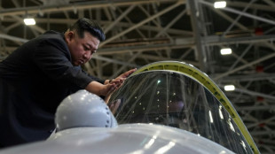 Kim inspects key weapons with Russian defence chief