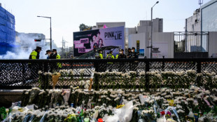 S&uuml;dkoreas Polizeichef r&auml;umt nach Massenpanik mit &uuml;ber 150 Toten Fehler ein