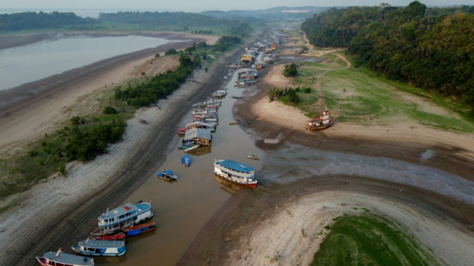 Mudan&ccedil;a clim&aacute;tica favoreceu a seca na Amaz&ocirc;nia em 2023, afirma estudo