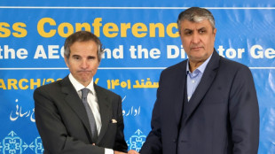 El jefe del OIEA dice haber tenido "conversaciones constructivas" con Ir&aacute;n