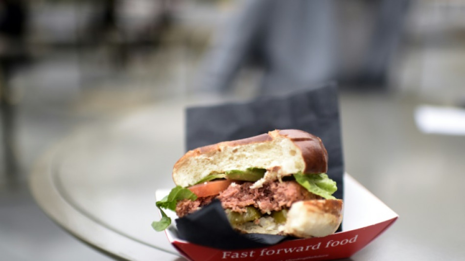 Le Conseil d&rsquo;&Eacute;tat accorde un sursis &agrave; l'appellation "steak" pour les produits v&eacute;g&eacute;taux