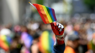 Regenbogen-Zebrastreifen in Wiesbaden erneut mit schwarzer Farbe bespr&uuml;ht