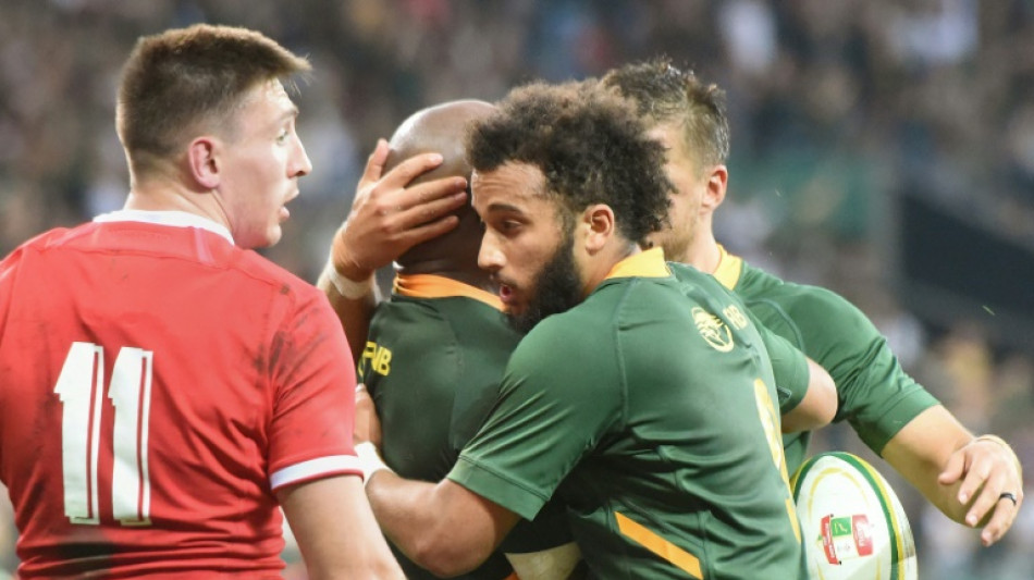 Rugby: l'Afrique du Sud remet les pendules &agrave; l'heure face aux Gallois