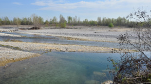 Alex Marangon non si &egrave; suicidato, ferite alla testa