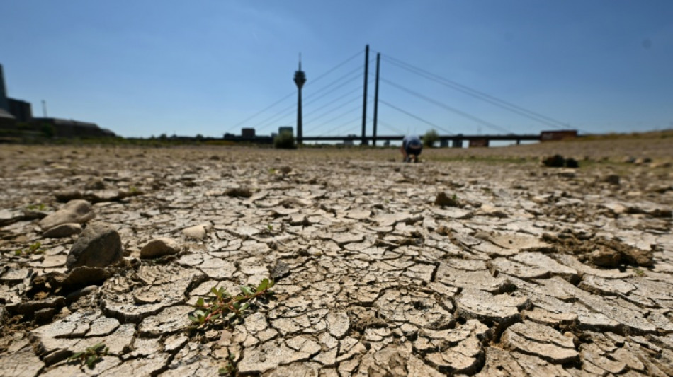 Anhaltende Trockenheit: Rheinpegel bei D&uuml;sseldorf auf historischem Tief