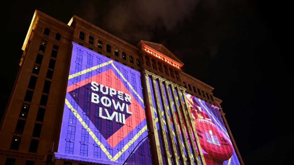 C&eacute;l&eacute;brit&eacute;s, humour, les pubs du Super Bowl &eacute;vitent les sujets qui f&acirc;chent