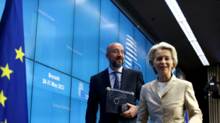 Crise &eacute;nerg&eacute;tique: l'UE d&eacute;voile son plan pour passer l'hiver