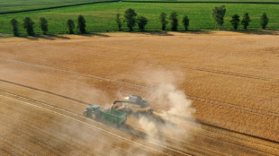 &Ouml;zdemir will mit gelockerten Artenschutzvorgaben mehr Getreideanbau erm&ouml;glichen
