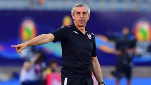 Foot: Alain Giresse nomm&eacute; s&eacute;lectionneur du Kosovo