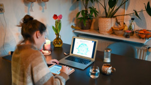 Ifo: Deutsche sind mehr im Homeoffice als Besch&auml;ftigte in anderen L&auml;ndern 