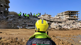 M&aacute;s de 33.000 muertos por sismo, mientras la ONU lamenta demoras en ayuda a zonas sirias afectadas