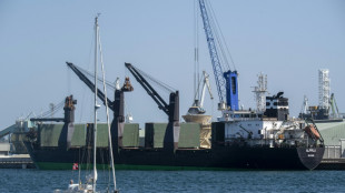 Arriv&eacute;e en Espagne d'un cargo transportant 18.000 tonnes de ma&iuml;s ukrainien