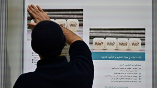 FDP will Englisch als zweite Sprache in deutschen Beh&ouml;rden etablieren