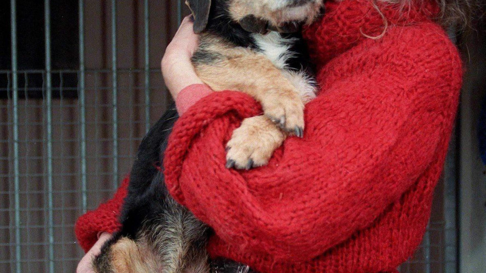 Brigitte Bardot, 'sono prigioniera di me stessa'