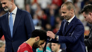 L'UEFA pr&eacute;sente ses excuses aux supporters pour les incidents au Stade de France