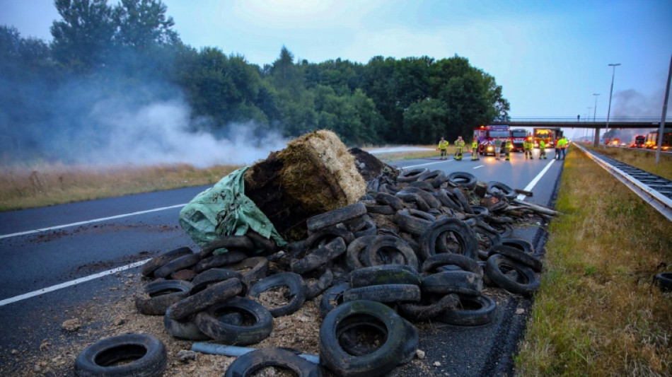 Niederl&auml;ndischer Regierungschef kritisiert "gef&auml;hrliche" Aktionen bei Bauernprotesten