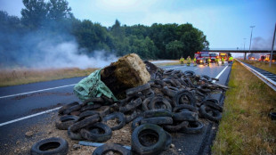 Niederl&auml;ndischer Regierungschef kritisiert "gef&auml;hrliche" Aktionen bei Bauernprotesten