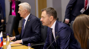 Eslovaquia entregar&aacute; 13 cazas MiG-29 a Ucrania 