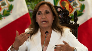 P&eacute;rou: grand rassemblement &agrave; Lima, la pr&eacute;sidente appelle &agrave; "une tr&ecirc;ve nationale"