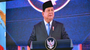 L'Indon&eacute;sie lance un fonds souverain visant &agrave; d&eacute;tenir 900 milliards de dollars d'actifs