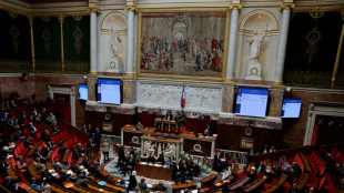 La "souverainet&eacute; &eacute;nerg&eacute;tique" en d&eacute;bat &agrave; l'Assembl&eacute;e, sur fond de menace de censure du RN